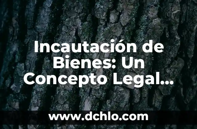 El Significado de Esencialmente: Un Concepto Fundamental 5 Incautación de Bienes: Un Concepto Legal Fundamental