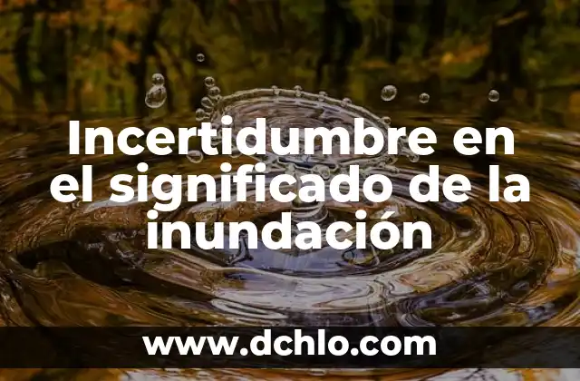 Significado de las siglas INCHP 7 Incertidumbre en el significado de la inundación