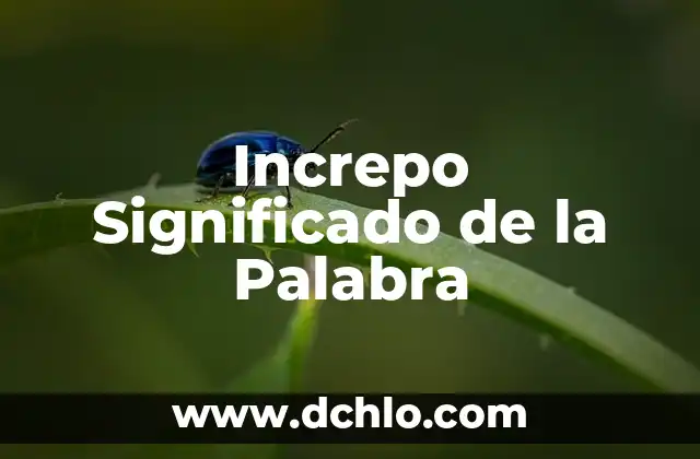 Significado de Swaggy 5 Increpo Significado de la Palabra