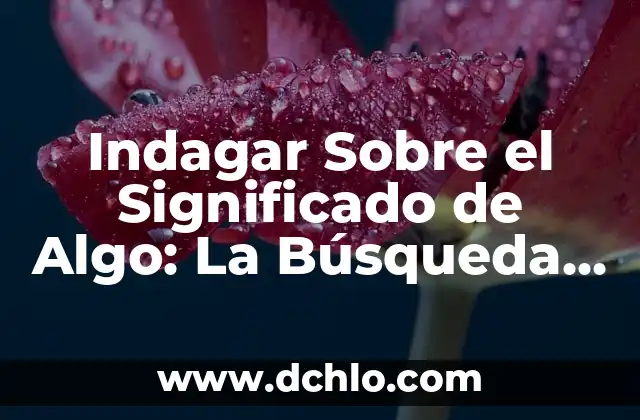 Significado de Taur 3 Indagar Sobre el Significado de Algo: La Búsqueda de la Comprensión