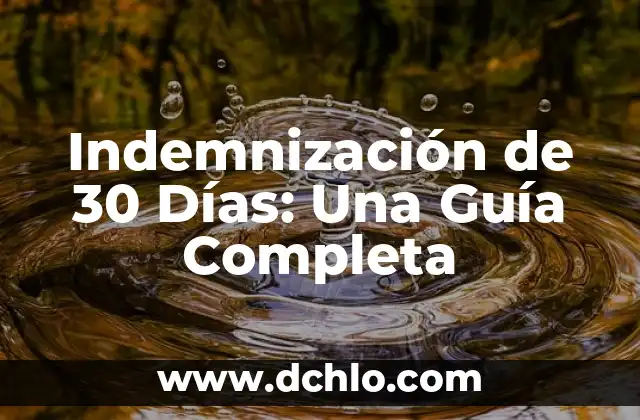 Guía de estilo CSE 6 Indemnización de 30 Días: Una Guía Completa