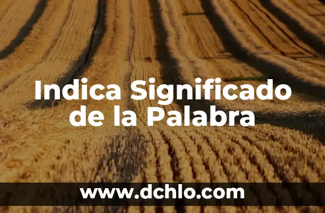 Indecente significado de la palabra 4 Indica Significado de la Palabra