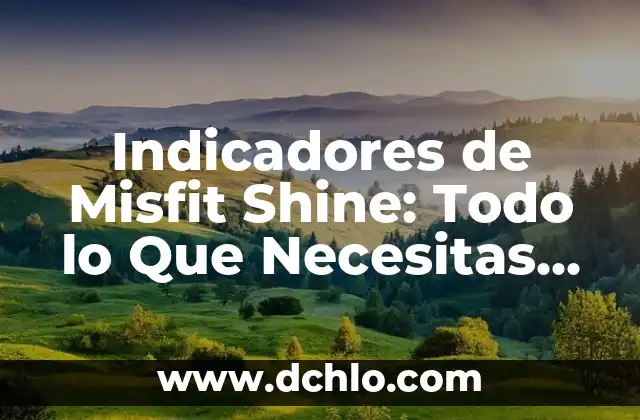 Significado de SAS en una Empresa: Todo lo que Necesitas Saber 3 Indicadores de Misfit Shine: Todo lo Que Necesitas Saber