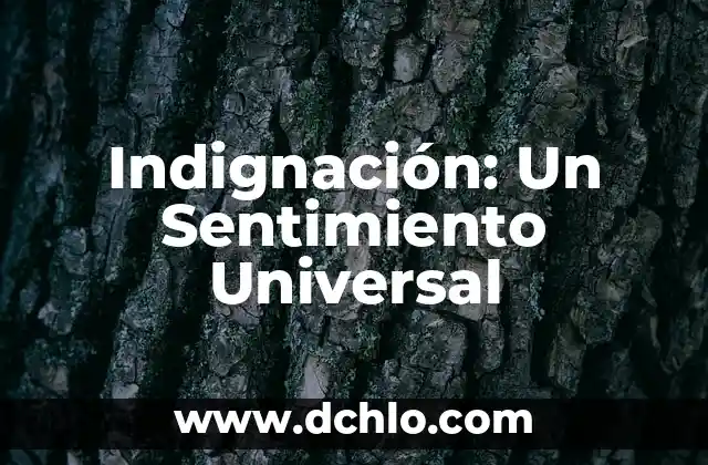 El Triángulo de Reciclaje: Un Símbolo Universal 3 Indignación: Un Sentimiento Universal