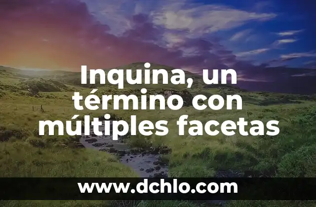 Palabras con múltiples significados en el contexto de los bienes 4 Inquina, un término con múltiples facetas