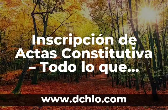 Cómo hacer actas de cooperativa en Uruguay 4 Inscripción de Actas Constitutiva – Todo lo que Necesitas Saber