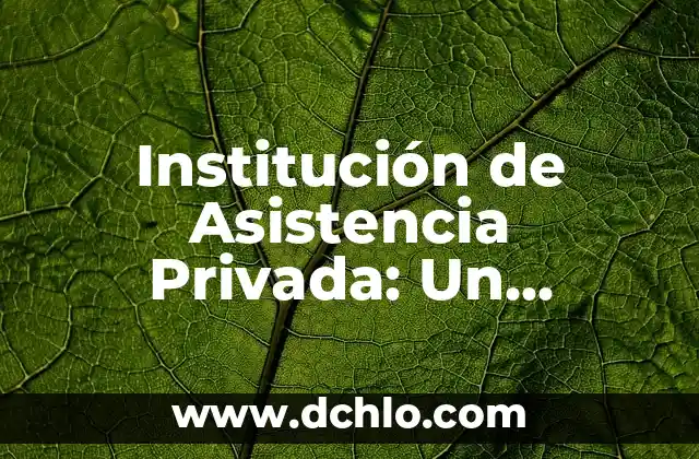 Incidencia de un menor significado: Un enfoque integral 3 Institución de Asistencia Privada: Un Enfoque Integral