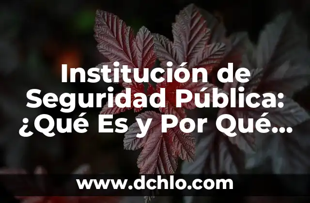 El Significado del Valor de la Seguridad 4 Institución de Seguridad Pública: ¿Qué Es y Por Qué Es Importante?