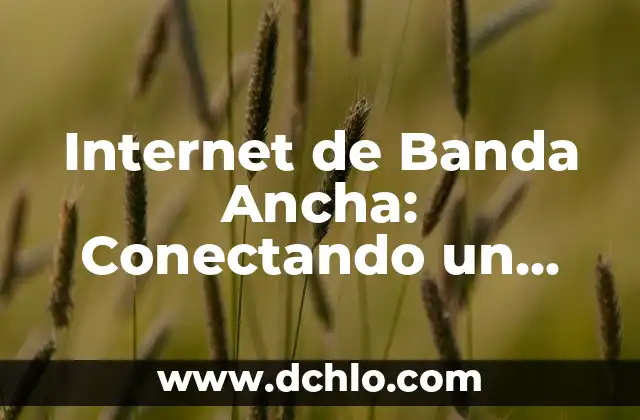 Zapatos para Mono de Pata Ancha: Guía Completa y Detallada 3 Internet de Banda Ancha: Conectando un Mundo Digital