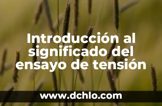 ¿Es Peligrosa la Tensión Alta por Ansiedad? 4 Introducción al significado del ensayo de tensión