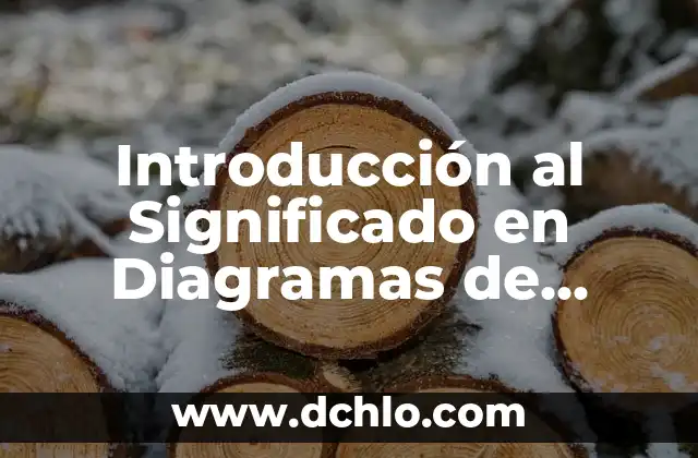 Significado en Diagramas de Flujo: Una Guía Completa 3 Introducción al Significado en Diagramas de Flujo