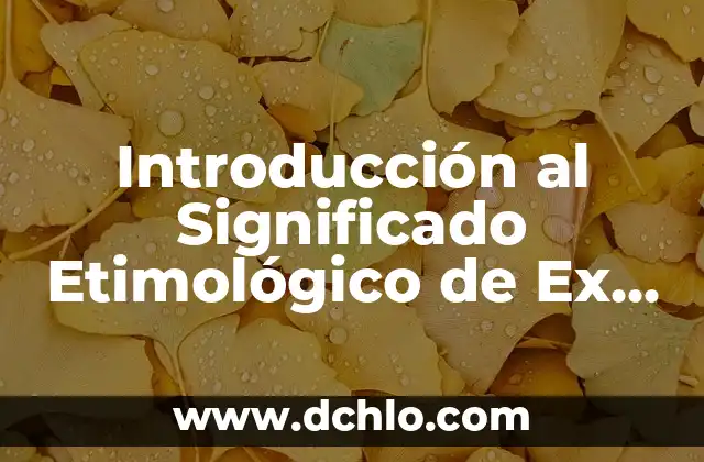 C贸mo hacer para reconquistar a mi ex 5 Introducci贸n al Significado Etimol贸gico de Ex Profeso