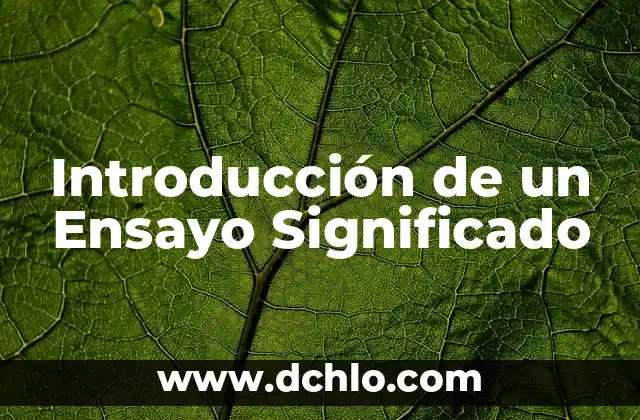 El Significado de los Derechos en la Justicia 6 Introducción de un Ensayo Significado