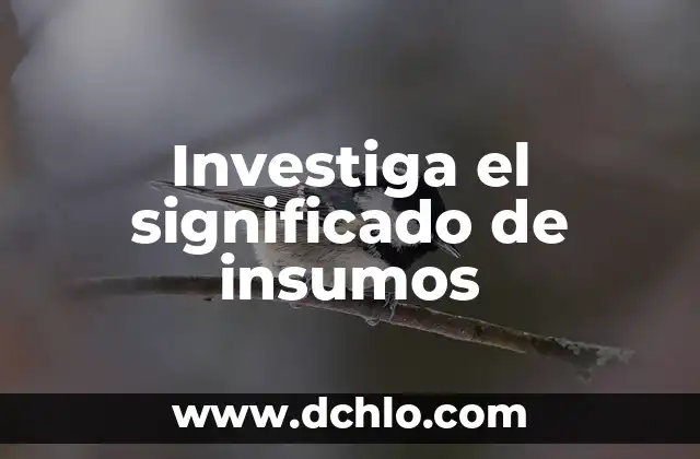Significado de los Nombres de Países 4 Investiga el significado de insumos