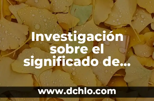 Investigación sobre el significado de INEGI