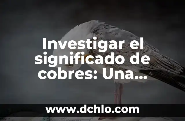 Investigar el significado de ahuehuete: Historia y simbolismo de los cipreses mexicanos 3 Investigar el significado de cobres: Una exploración detallada