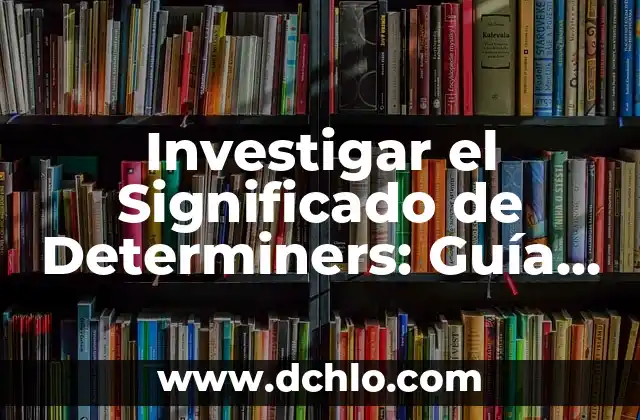 Supervisión gubernamental: Una guía completa 3 Investigar el Significado de Determiners: Guía Completa y Detallada