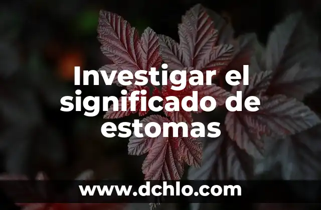Significado de Suplicios 5 Investigar el significado de estomas