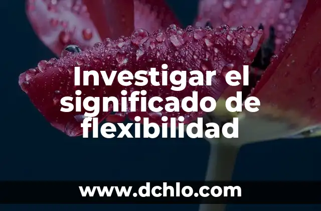 Investigar el significado de imprudencia 3 Investigar el significado de flexibilidad