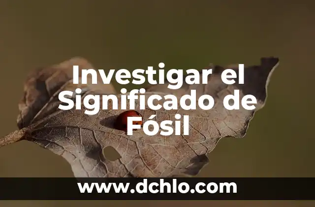El Significado de Somondoco 8 Investigar el Significado de Fósil