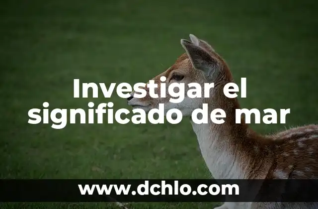 Investigar el significado de ISSSTE 3 Investigar el significado de mar