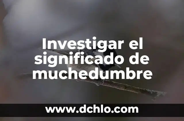 Investigar el significado de huya: Todo lo que necesitas saber 8 Investigar el significado de muchedumbre