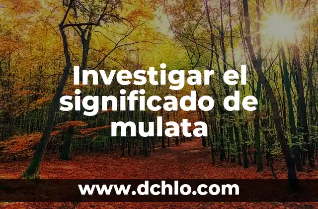 Investigar el significado de huya: Todo lo que necesitas saber 6 Investigar el significado de mulata