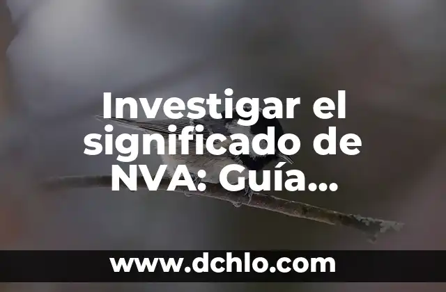 Cómo Investigar el Significado de las Hipérboles: Guía Completa 4 Investigar el significado de NVA: Guía Completa