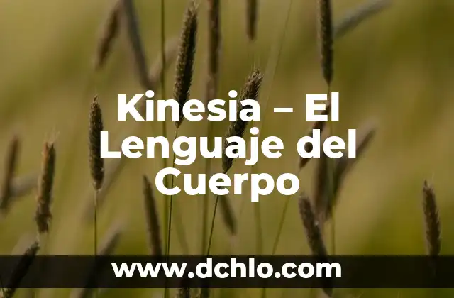 Cómo hacer para tener un cuerpo perfecto 6 Kinesia – El Lenguaje del Cuerpo