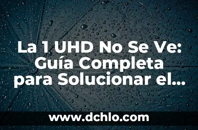 Cómo Se Toman Las Semillas de Chía: Guía Definitiva 6 La 1 UHD No Se Ve: Guía Completa para Solucionar el Problema