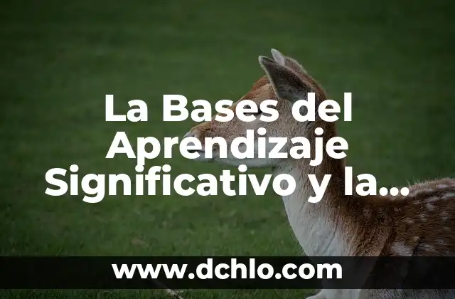 Significado Educativo de la Sensación 4 La Bases del Aprendizaje Significativo y la Atención en el Proceso Educativo