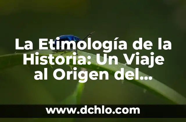 Hocico Significado de la Palabra - Descubre su Origen y Usos 7 La Etimología de la Historia: Un Viaje al Origen del Conocimiento