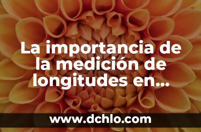 Medio Años de Novios Significado: Una Guía Completa 7 La importancia de la medición de longitudes en topografía: Una guía detallada