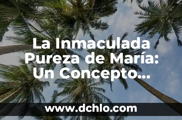 Cómo hacer torta fría con galleta Maria y pudin 3 La Inmaculada Pureza de María: Un Concepto Fundamental