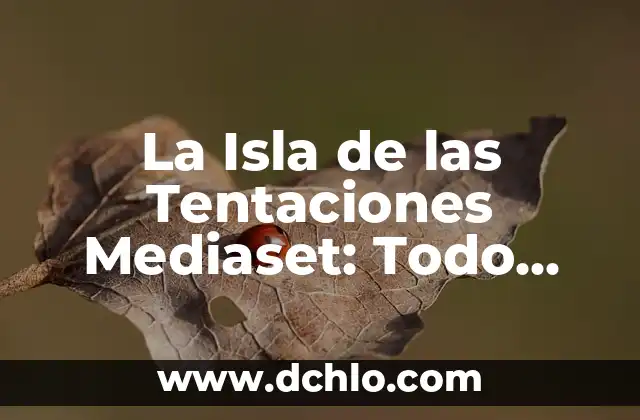 Central de Autobuses: Todo Sobre la Estación de Autobuses 3 La Isla de las Tentaciones Mediaset: Todo sobre el Reality Show más Polémico