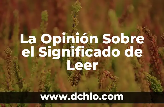 Significado de Zona Rural y Urbana 8 La Opinión Sobre el Significado de Leer