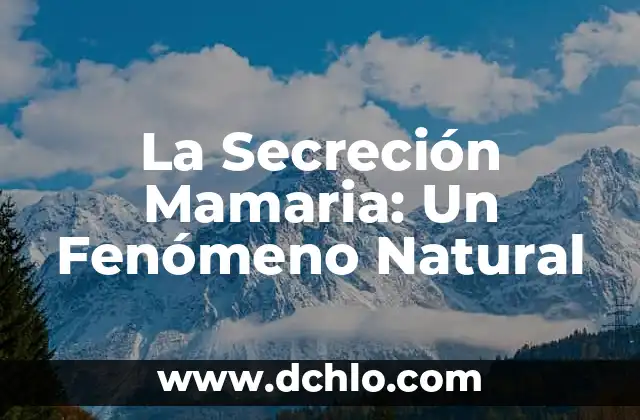Significado de Swag: Un Fenómeno Cultural 5 La Secreción Mamaria: Un Fenómeno Natural