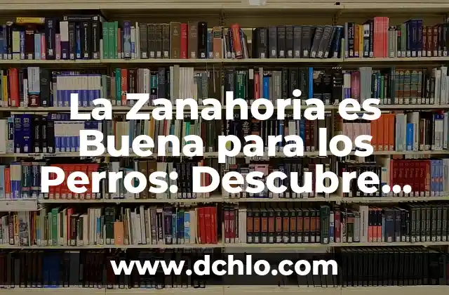 ¿Es buena la avena para adelgazar? 8 La Zanahoria es Buena para los Perros: Descubre los Beneficios