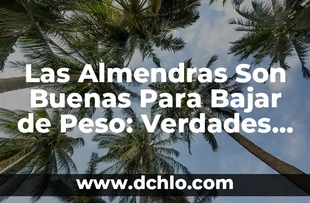 ¿El SIDA se Transmite por la Saliva? Mitos y Realidades 6 Las Almendras Son Buenas Para Bajar de Peso: Verdades y Mitos