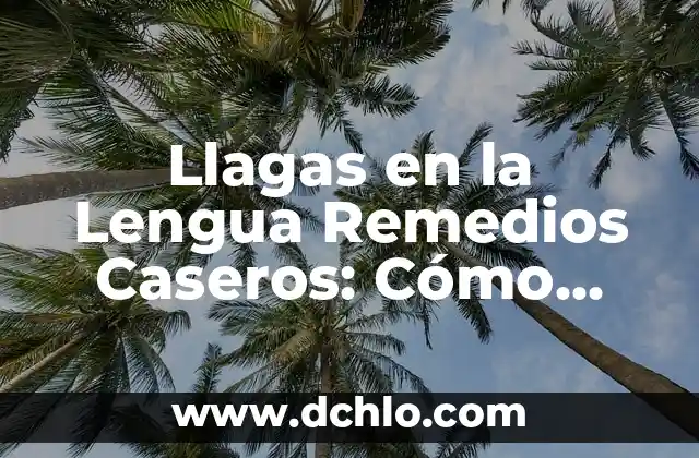 Pinchazos en el Estómago que Tomar: Soluciones y Remedios Naturales 7 Llagas en la Lengua Remedios Caseros: Cómo Curar la Irritación con Tratamientos Naturales