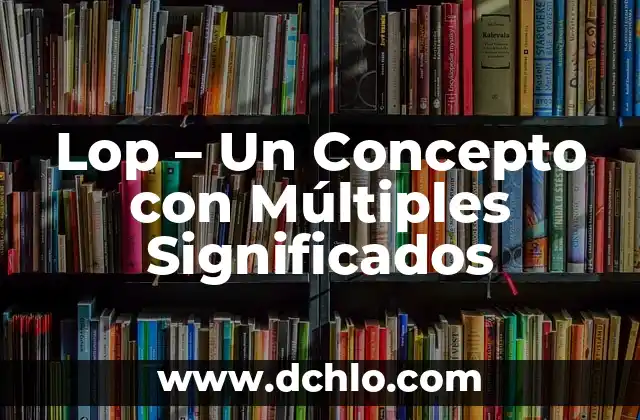Palabras con múltiples significados en el contexto de los bienes 6 Lop – Un Concepto con Múltiples Significados