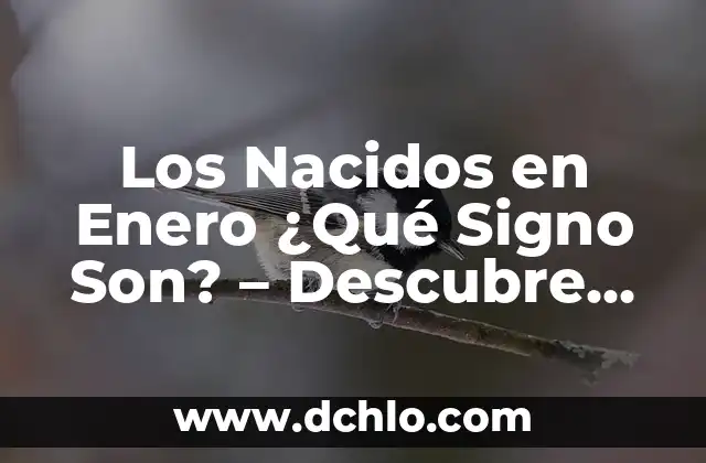 Remedios Caseros para el Estreñimiento en Bebés Recién Nacidos 6 Los Nacidos en Enero ¿Qué Signo Son? – Descubre Tu Signo del Zodiaco