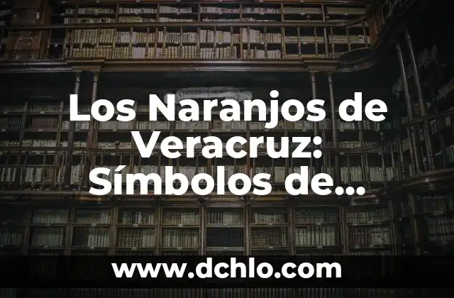 Audiencia 345 - Un Concepto Legal en el Estado de Veracruz 7 Los Naranjos de Veracruz: Símbolos de Tradición y Cultura