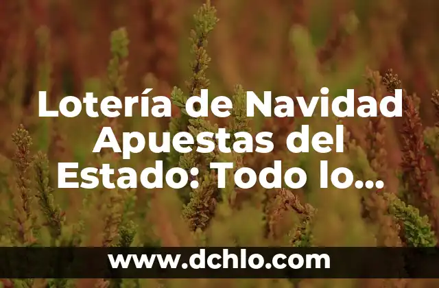 Sintomas de una piedra en la vesícula: ¿Qué debes saber? 8 Lotería de Navidad Apuestas del Estado: Todo lo que debes saber