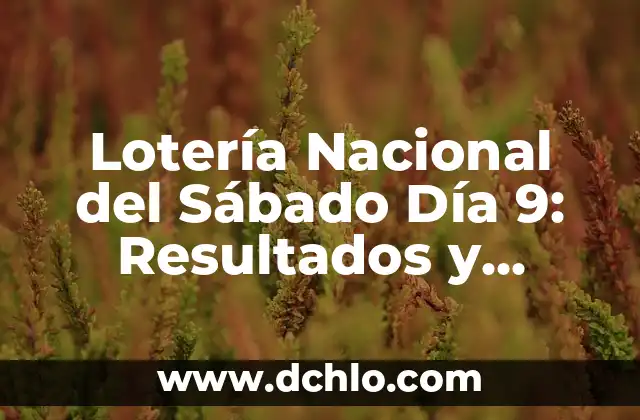 El Significado del Sábado 3 Lotería Nacional del Sábado Día 9: Resultados y Aproximación a la Suerte
