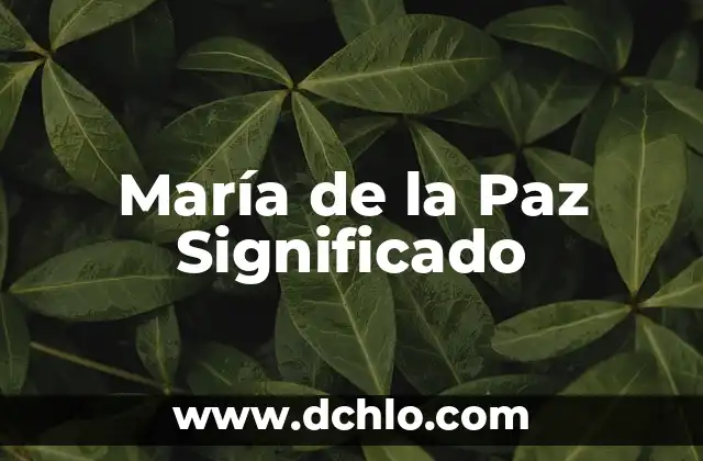 La Inmaculada Pureza de María: Un Concepto Fundamental 6 María de la Paz Significado