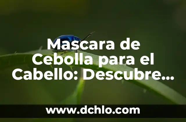 ¿Para qué sirve la linaza en el cabello? Aumenta el crecimiento y la salud capilar 5 Mascara de Cebolla para el Cabello: Descubre los Beneficios para tu Pelo