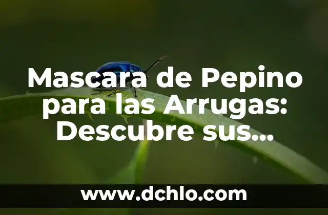 Máscara de Lucha Libre Significado 6 Mascara de Pepino para las Arrugas: Descubre sus Beneficios y Cómo Aplicarla