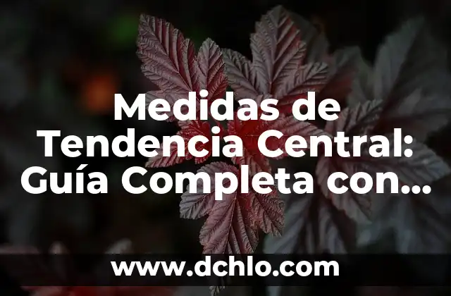 Medidas de Tendencia Central: Guía Completa con Ejemplos y Conceptos