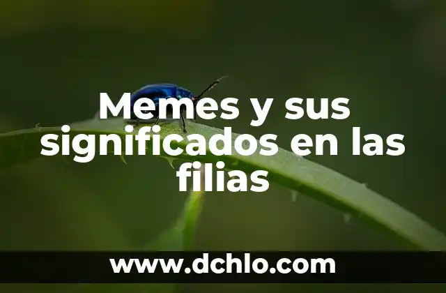 Memes y sus significados en las filias
